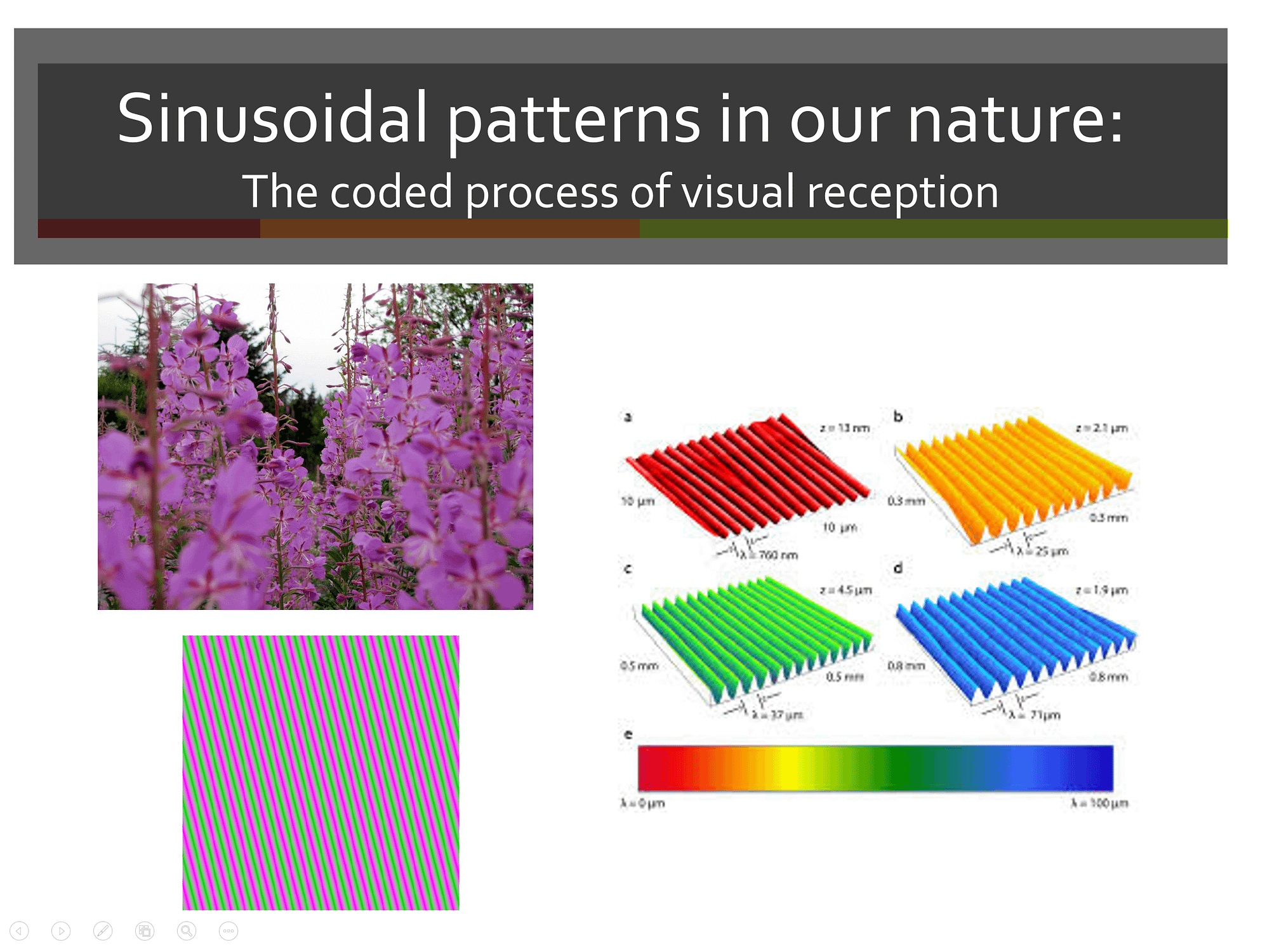 Annotation 2020-02-16 015111